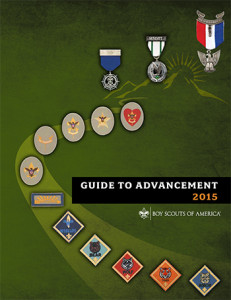 guidetoadvancement2015